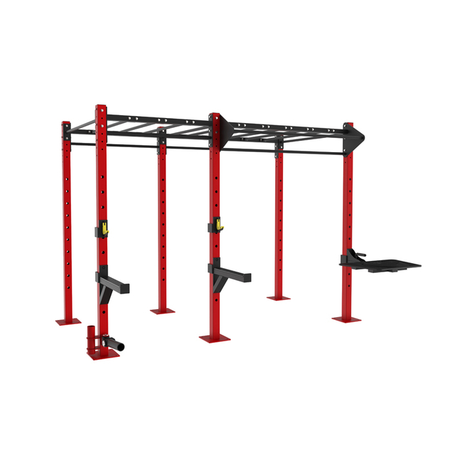 Multi-Function Removable Crossfit Rig