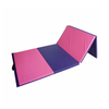 Folding Gymnastic Mat